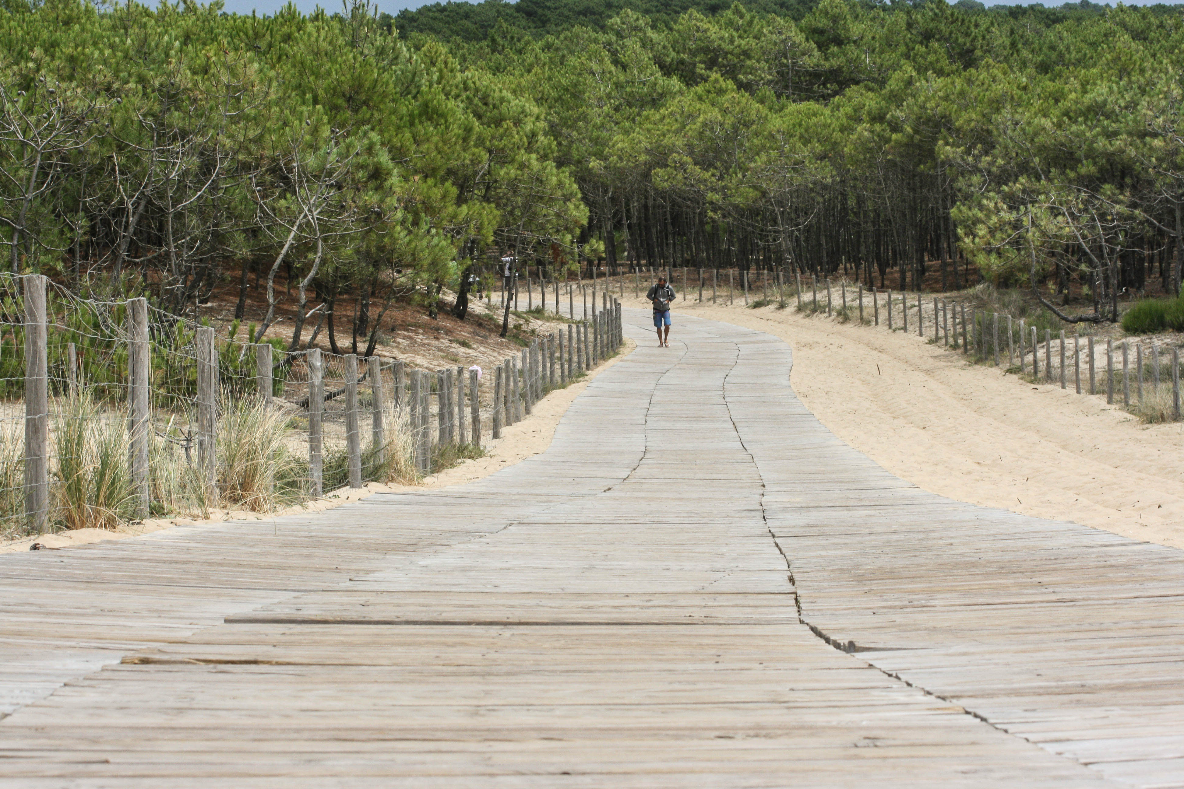 Weg zum Strand von Cap Ferret